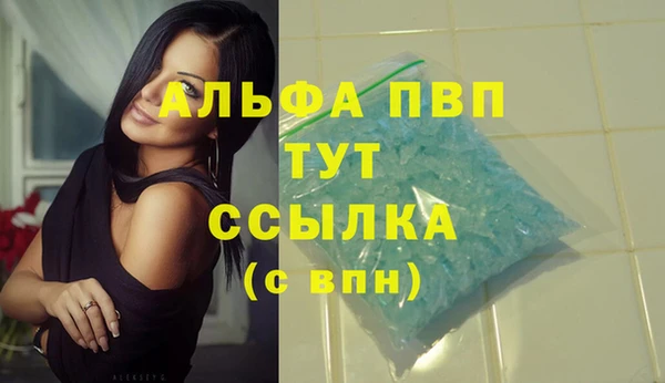 стаф Богородицк