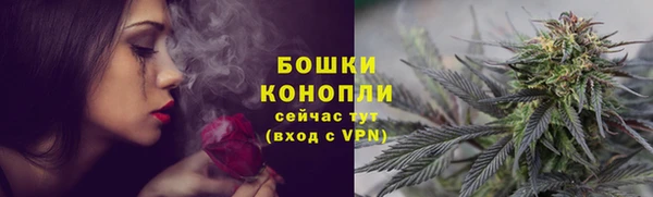 прущая мука Богданович