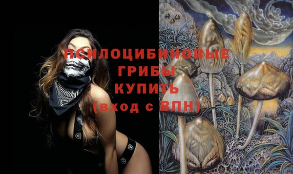 прущая мука Богданович