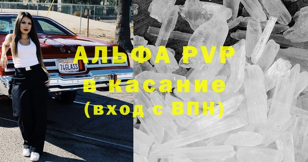 стаф Богородицк