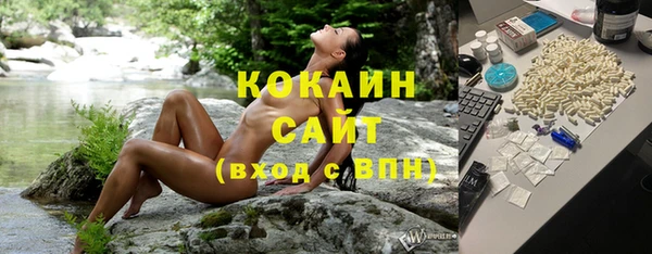 стаф Богородицк
