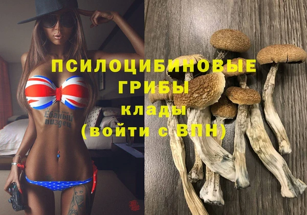 прущая мука Богданович