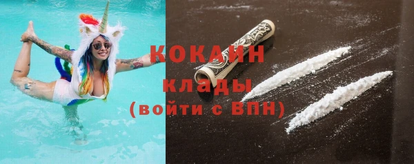 стаф Богородицк