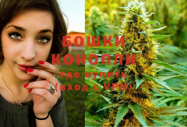 стаф Богородицк