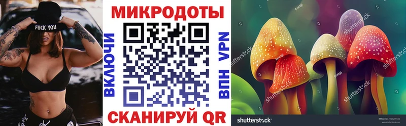 Псилоцибиновые грибы Psilocybine cubensis  Красновишерск 